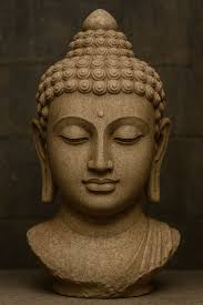 Robin Han (cityhan1229)