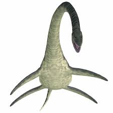 Image result for Elasmosaurus