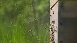 Andreas Klein Youtube