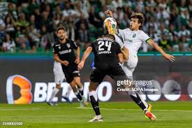 56 Daniel Amaral Stock Photos, High-Res Pictures, and Images