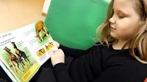 Ängsskolan har bokdag året runt