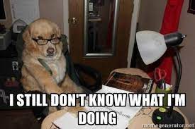 I Still Don T Know What I M Doing Financial Advisor Dog Meme Generator