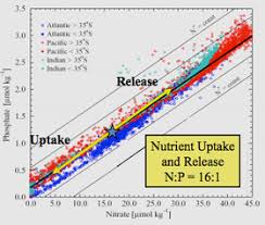 Phosphate Wikipedia