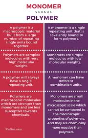 Difference Between Monomer And Polymer