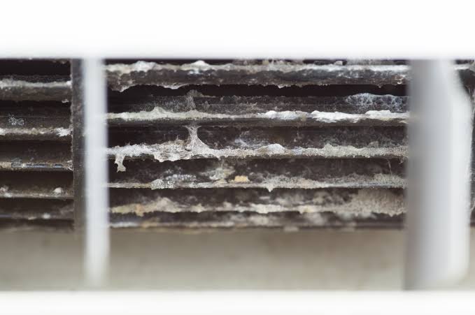 What To Do About Mold In Your Vents? | HVAC Mold Removal Tips