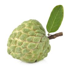 Image result for Annona squamosa