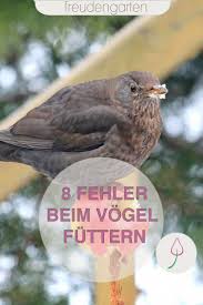 Pin Auf Tiere