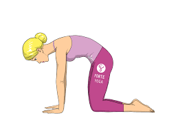 A great warm up before yoga practice paired with cow pose. Clipart Cat Cow Clipart Cat Cow Transparent Free For Download On Webstockreview 2021