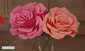 3 for 2 a4 10 subject translucent notebook £10.00. Video Crepe Paper Roses Martha Stewart