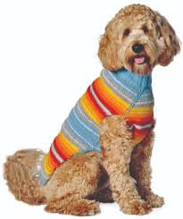 turquoise serape dog sweater