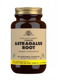 Astragalus Powder