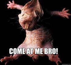Naked Mole Rat Meme