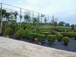 Achetez en toute sécurité et au meilleur prix sur ebay, la livraison est rapide. Vdqfrdyilkmp0m