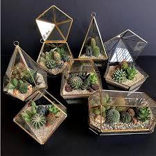 One of them is the cactus and succulent society of the philippines. 10 Stores To Buy Indoor Plants In Metro Manila