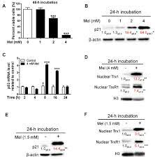 Cells Free Full Text Melatonin And Epigallocatechin 3 Gallate Partners In Fighting Cancer Html