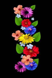 ورود ملونه 20