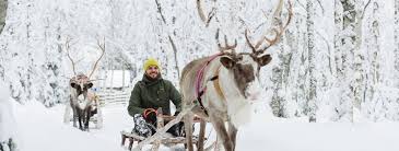 I have experienced unforgettable moments during this project.i've witnessed amazing sunsets, bright night skies, unbealivable northern lights and endless amo. Winter Sports In Finland The Best Stuff To Do In Winter