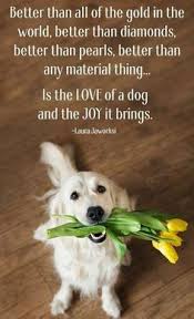Check spelling or type a new query. 7 Dog Quotes Ideas In 2021 Dog Quotes Dogs International Dog Day