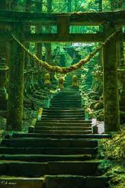 the torii gate of kami shikimi kumano imasu shrine kumamoto japan 熊本県 上色見熊野座神社 beautiful places japan travel japan