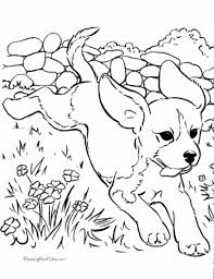 Click the puggle coloring pages to view printable version or color it online (compatible with ipad and android tablets). 20 Free Printable Coloring Pages Of Dogs Everfreecoloring Com