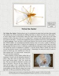 Image result for yellow sac spider bite skin