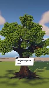 How To Grow A Dark Oak Tree In Minecraft