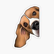 The first thing to check is the denier. Beagle Gifts Merchandise Redbubble