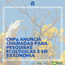 A chamada é destinada para graduados em engenharia ou áreas científicas correlatas como geologia, física ou química. H Cnpq Etiketa Sto Twitter