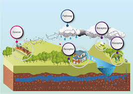 Das habe ich bisher auch nicht erlebt. Scientific Principles Of Environmental Management Book Chapter Iopscience