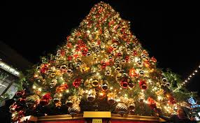 Christmas tree wallpapers are the most popular categories of wallpapers, during the holiday season. Christmas Tree Hd Wallpaper
