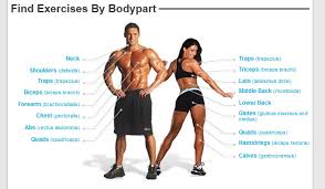 From body parts to performance modifications and beyond, we have the right parts at a great price and unbeatable customer service, each and every time you place an order. No Knowledge About Body Parts Names The Dude S Fit World