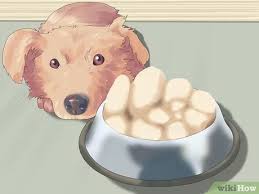 Acid reflux is also known as indigestion or gastroesophageal reflux disease (gerd). 3 Ways To Treat Acid Reflux In Dogs Wikihow