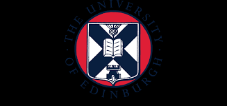 Image result for Monotes dasyanthus