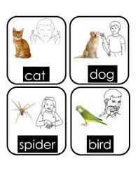 Bird In Sign Language For Toddlers Sign Language Food And Animal Cards By Ms Vs Crazy Kindergarten Teachers Pay Teachers Sign Language For Kids Sign Language Lessons Sign Language Book