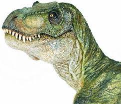 sign in dinosaur art dinosaur images dinosaur