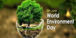It should be celebrated yearly. World Environment Day