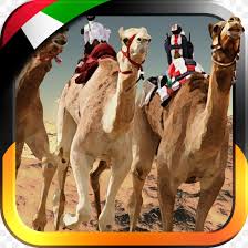 Falaj al mulla garden park 5.06 km. Uae Camel Racing Dromedary Camel Race 3d United Arab Emirates Png 1024x1024px Uae Camel Racing Android