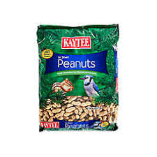 Magical, meaningful items you can't find anywhere else. Wild Bird Store Supplies For Wild Birds Petsmart