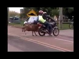 Последние твиты от moto wa nyasi (@motowanyasi). Vichekesho Vunja Mbavu Youtube
