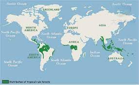 Tropical rainforests of the world: Describe Image Pte Study Rainforest Map Rainforest Activities Rainforest