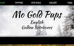 Are golder retrievers good apartment dogs? Mo Gold Pups English Golden Retrievers