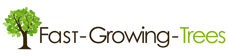 It's easy to love a. Summit Park Recapitalizes Fast Growing Trees Summit Park Llc En Us