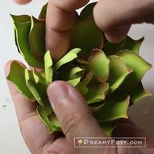 How To Make Paper Succulent Free Pdf And Svg Template