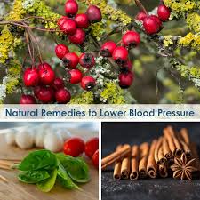 It is one of the most commonly this chemical has natural vasodilating qualities, thus leading to a lowering in blood pressure.how to lower blood pressure instantly in an. Natural Remedies To Lower Blood Pressure Cardiovascular Medicine Ne Florida