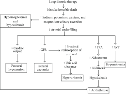 Image result for Loop Diuretic