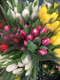 We also provide flower delivery to the surrounding areas, such as, cape elizabeth, chebeague island, cumberland center, cumberland foreside, falmouth, gorham, long island, peaks island, portland, scarborough, south portland, westbrook, windham, yarmouth. Dodge The Florist Home Facebook