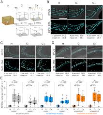 Arti 607 meaning ini text sama halnya dengan 607 meaning namun di meaning in text ini akan admin jelaskan. 2