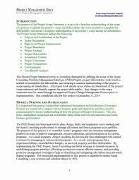 Scope Management Plan Template Unique 43 Project Scope Statement Templates Examples Templa In 2020 Statement Template Project Management Templates Marketing Template