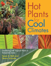 Best plants for a tropical look in cold climates. Hot Plants For Cool Climates Gardening Wth Tropical Plants In Temperate Zones Schrader Dennis 9780881927191 Amazon Com Books