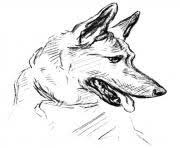 Check spelling or type a new query. Husky Dog Realistic Coloring Pages Printable